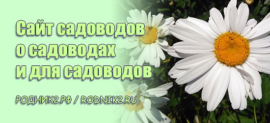 Logo Родник2
