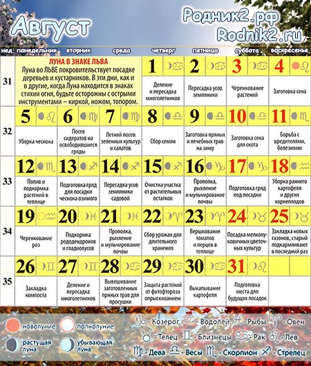  Лунный календарь садовода и огородника на август 2024 года