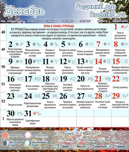  Лунный календарь садовода и огородника на декабрь 2024 года